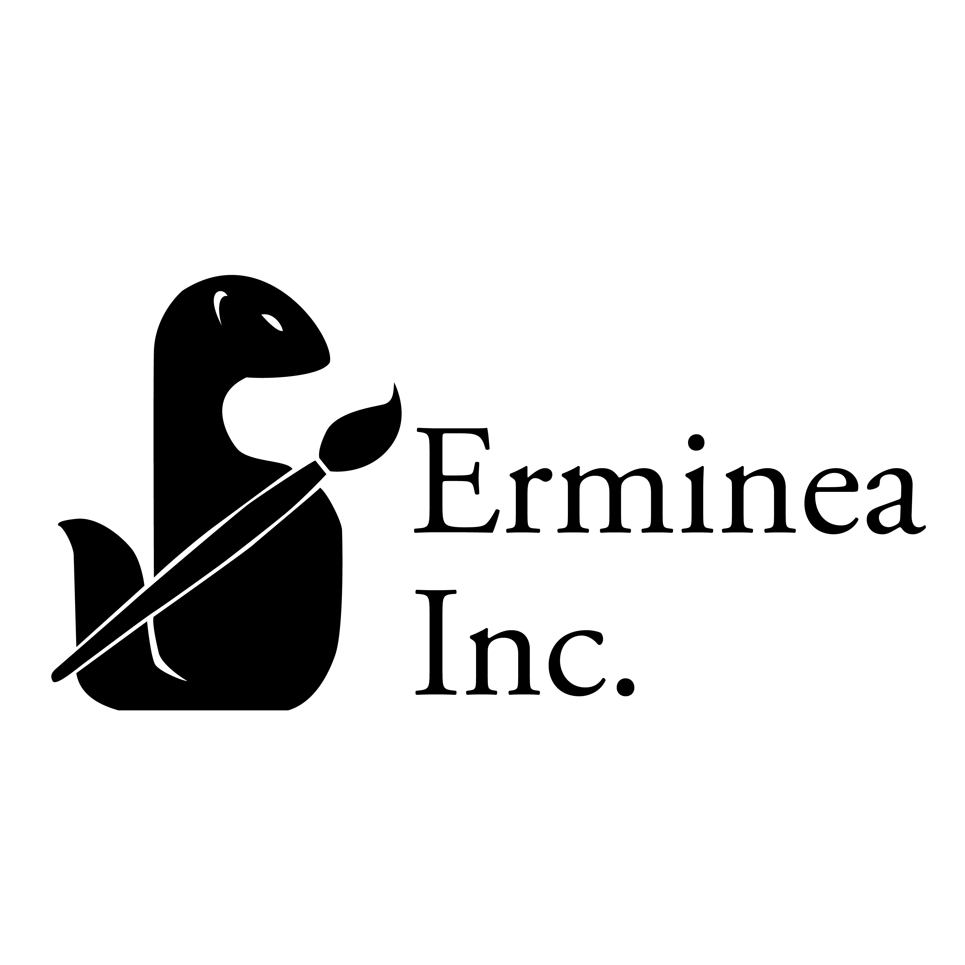 Board Of Directors Erminea Inc 