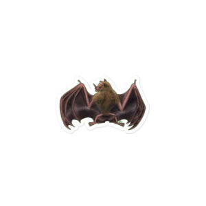 Seba's Short-tailed Bat