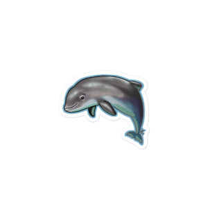 Harbor Porpoise