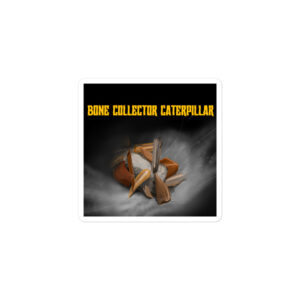 Bone-collector Caterpillar