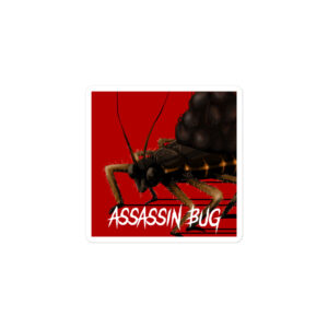 Assassin Bug