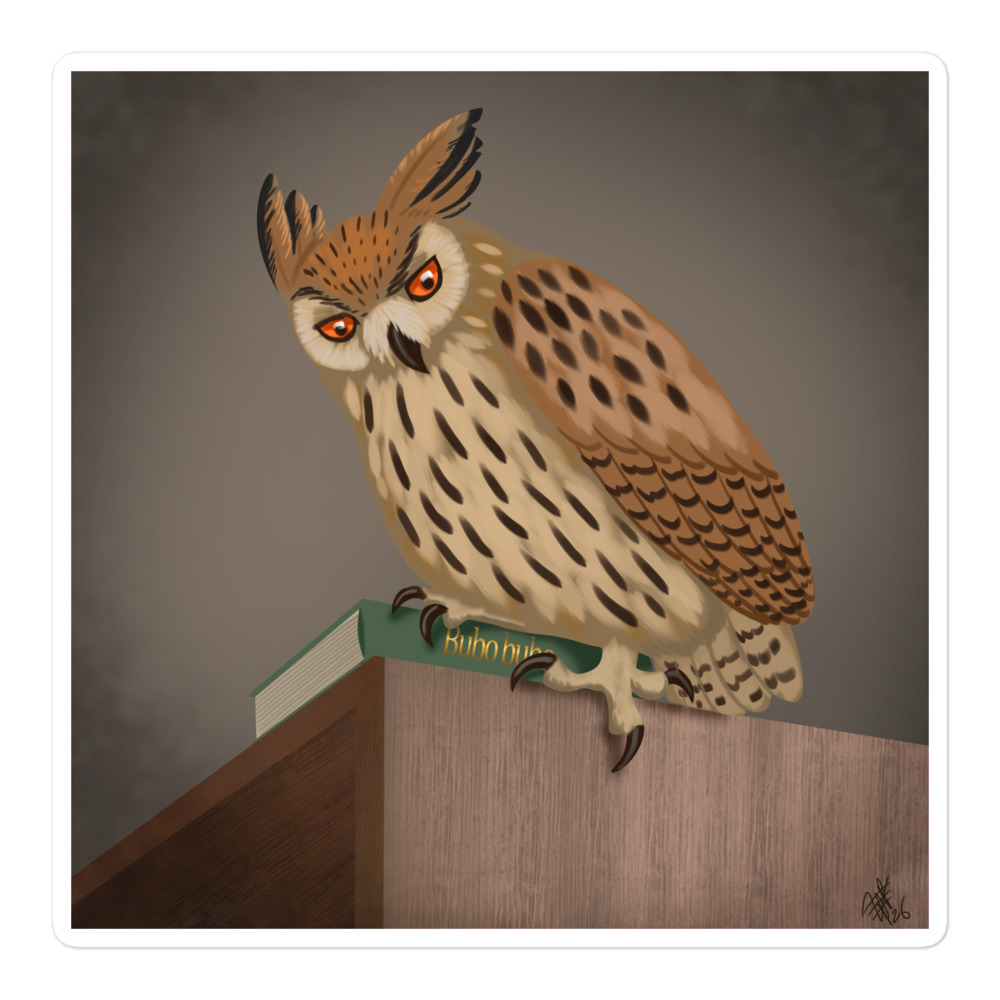 Eurasian Eagle-owl R2 - Image 3